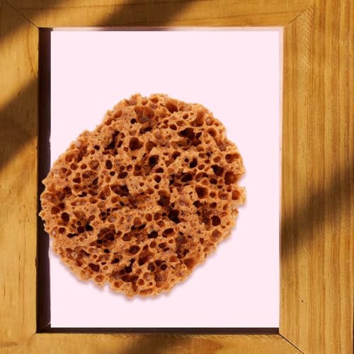 UPKOCH Reusable Natural Sea Sponge Painting Tool 5.90X4.72X2.75In Texturing Sponge for Wall Art Decorative Crafts and DIY Painting Projects