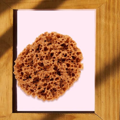 UPKOCH Reusable Natural Sea Sponge Painting Tool 5.90X4.72X2.75In Texturing Sponge for Wall Art Decorative Crafts and DIY Painting Projects