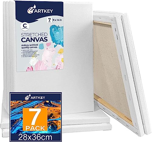 Stretched Canvases for Painting 11x14 Inch 7-Pack, 10 oz Triple Primed Acid-Free 100% Cotton Blank Canvas, Art Canvases for Oil Paint Acrylics Pouring & Wet Art Media, Pour Painting - size: 11"x14"(7-Pack), style: Studio