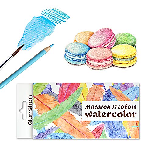 12 Yellow Colored Pencils Oil Based, Pre-sharpened Wooden Color Pencils | No Duplicates Drawing Pencils, Adults Coloring Books Drawing Sketching, Sketch Pencils Art Supplies - color: 12 macaron pencils