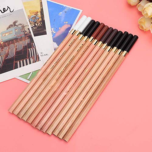 hong 12PCS 4 Colors Sketching Pencils Wooden Charcoal Drawing Pencil Art Supplies with Gift Box for Art Students, Beginners, Professional Painter, White/Sanguine/Sepia/Black Charcoal Pencils