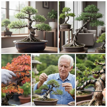 5 Rolls Bonsai Wire, 147 Feet Aluminum Bonsai Training Wires, 5 Sizes Plant Training Wires Black Plant Wires Aluminum Wire for Bonsai Tree Training Indoor DIY Crafts (1mm, 1.5mm, 2mm, 2.5mm, 3mm) - size: 1mm/1.5mm/2mm/2.5mm/3mm