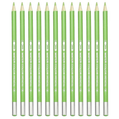 PATIKIL Watercolor Pencil, 12Pcs Water Soluble Pencils for Blending, Coloring, Sketch Drawing, Painting, Green Yellow - color: Green Yellow