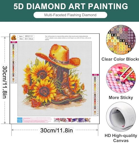 AIBOERL Diamond Art Kits for Adults,Boots Diamond Painting Wall Decor | Round Drill Boots Diamond Painting for Beginners DIY Rhinestone 5D Diamond dots(Gemstone Craft)Wall Art Gift 12x16IN - color: DP02112