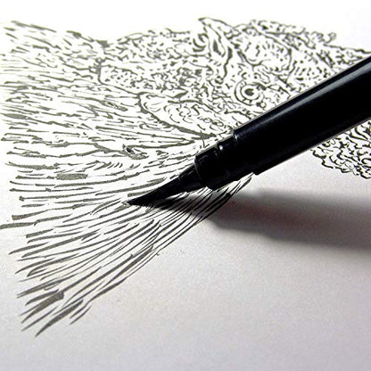 Pentel Arts Pocket Brush Pen with Refills, 1 Pen & 2 Refills
