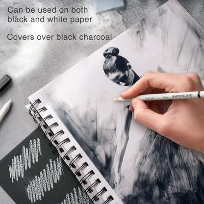 ARTISTIC EYE Premium Drawing and Sketching Pencil Art Set (20 Items): Complete Kit with Graphite Pencils, Charcoal Pencils, Sticks, Blending Stumps, Erasers, and Sharpeners