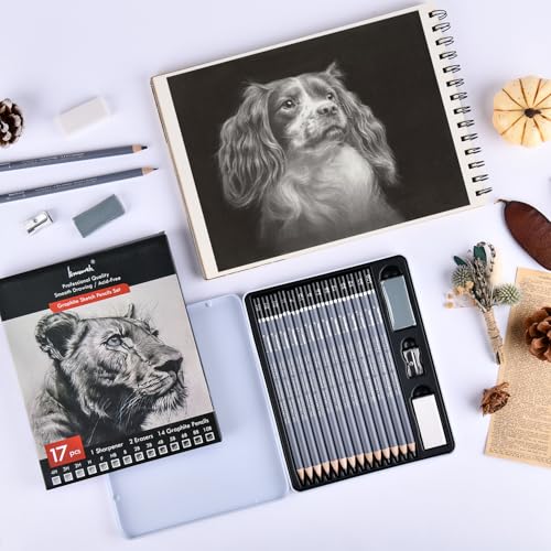 Brusarth Professional Sketch Graphite Pencils for Drawing Set,17 Pcs