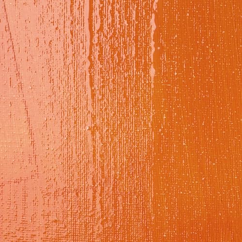 Liquitex Professional High Gloss Varnish, 3.78L (gallon/128-oz) | 100% Acrylic Polymer Varnish High Gloss Sheen, Protects & Resists Dirt Retention, Increases Brightness, Resists Discoloration - color: High Gloss, style: 128-oz
