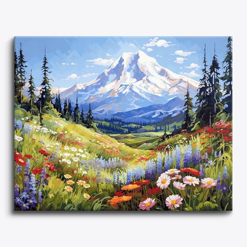 Craftoria Paint by Numbers for Adults 40"x50"cm NO Framed Floral Meadow Bliss 48 Colors - color: Meadow Bliss - 48 COLORS, size: NO Frame