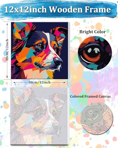 TOCARE Framed Paint by Numbers Kit for Adults Beginners & Kids Ages 8-12,12x12inch Border Collie Paint by Number with Frame,Dog Paint by Numbers Framed Canvas for Amimal Lover(Without Easel) - color: TC-F-295