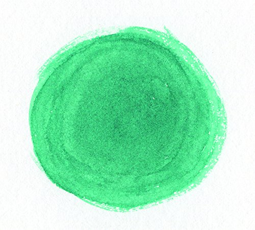Higgins Pigmented Drawing Ink, Green, 1 Ounce Bottle (44695) - color: Green