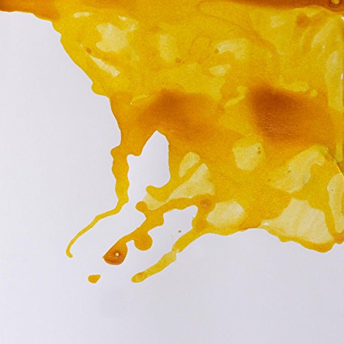Winsor & Newton Drawing Ink, 14ml Bottle, Canary Yellow | Fast-drying, transparent & water-resistant; Outstanding Color Brilliance; Perfect for brush, dip pen, airbrush applications. - color: Canary Yellow, style: 14ml Bottle