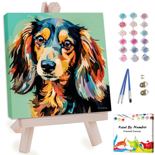 Artunion Framed Paint by Numbers Kit for Adults Beginners & Kids Ages 8-12,Colorful Dachshund Dog Paint by Number with Frame,Dog Animal Paint by Numbers Kit on Canvas 10 * 10 Inch Without Easel - color: ZXT-264-F