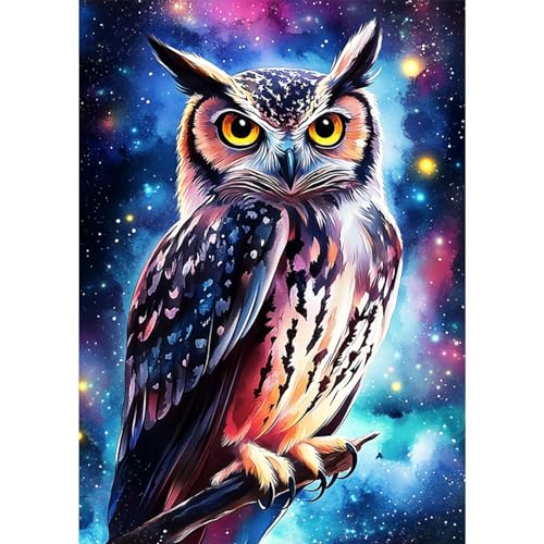 GHHKUD Diamond Painting Kits Owl for Adults, DIY 5D Colorful Owl Animals Diamond Painting, Full Drill Night Sky Diamond Art Kits Art Pictures for Relaxation Gifts Home Wall Decor 30x40cm - color: Owl