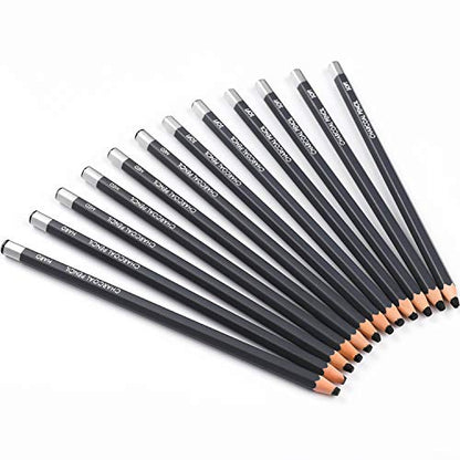 Sunshilor Professional Charcoal Pencils Drawing Set, 12 Pieces Soft Medium Hard Charcoal Pencils for Drawing, Sketching, Shading, Artist Pencils for Beginners & Artists