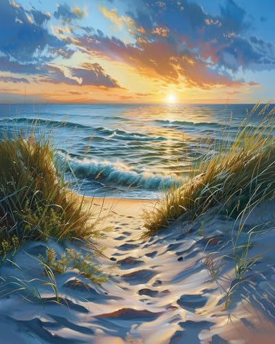 TUMOVO DIY Paint by Numbers for Adults Beach Scene Sunrise, 16x20 Inch | Abstract Canvas Kits with Acrylic Paints and 3 Brushes, Stress-relief Painting Kit for A Calming Hobby, Beginner Friendly - color: Sunrise