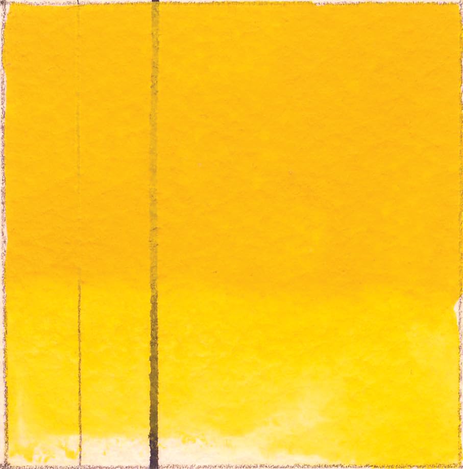 GOLDEN QoR Artist Watercolors, Cadmium Yellow Deep, 11 ml Tube, Professional Watercolor Paint, Semi-Transparent - color: Cadmium Yellow Deep
