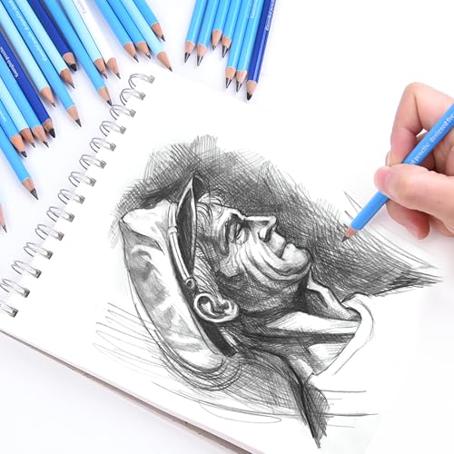 Professional Drawing Set,12 Colored Pencils,12 Graphite Pencils,Eraser,Case | Portable Travel Colored Pencil Case,Sketching Shading Blending Art Supplies,Gifts for Artists Adults Beginners.Skin Black - color: Set-Skin