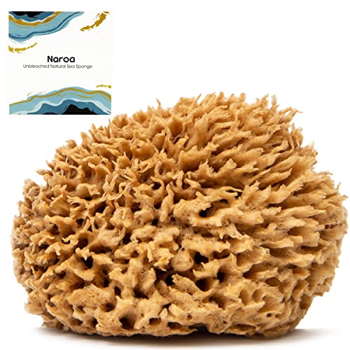 Naroa Soft Natural Sponge X Large | Gentle Sea Loofah for Bathing Smooth Skin | Unbleached Shower Body Scrubber Puff | Bath & Spa