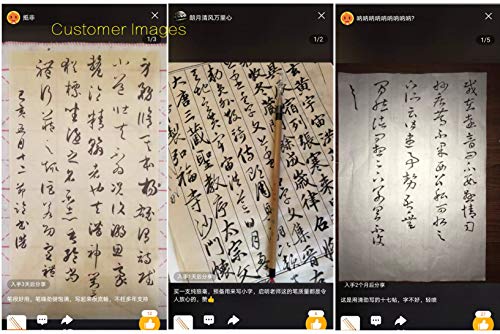 Weasel Hair Chinese Calligraphy Brush Premium Chinese Brush Sumi Brushes 99% Weasel Hair wolf hair for Font 3-5cm, 1pc QingJin - color: 0501. QingJin 1pc