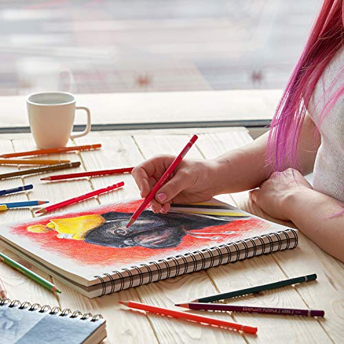 ARTEZA Sketch Book 2 Pack, 9x12 Inches, 200 Sheets of 68 lb Heavyweight Paper, Spiral Bound Drawing Pad with Perforated True-to-Size Pages for Sketching, Drawing, and Illustration - size: 2 Pack 9x12