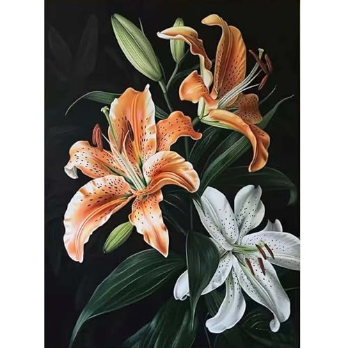 Lily Flower Diamond Art Kits for Adults for Beginners, Flower Full Round Drill 5D Diamond Painting Kit,DIY Diamond Dots With Gem Art Paintings Arts Craft for Adults,Home Wall Decor 12 X 16Inch - color: DZ875