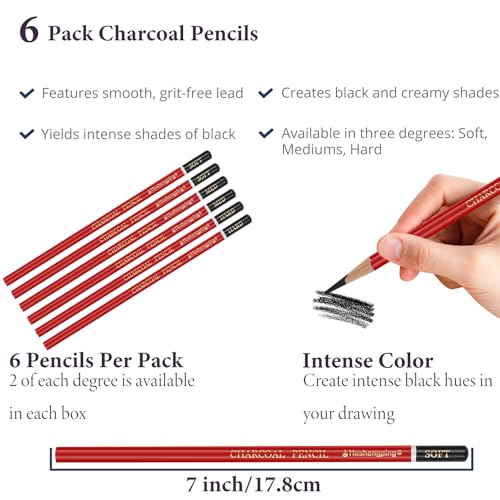 Professional Charcoal Pencils for drawing, Set of 6, Black Charcoal Drawing Pencils (Soft, Medium, Hard), Art Supplies for Drawing Sketching, Shading