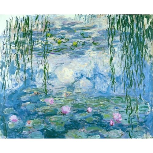 Monet Cute Diamond Art Kits for Adults Diamond Painting Kit for Beginner - color: DP03150, size: Round Drill