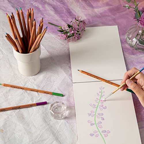 Artist's Loft Watercolor Pencil Set