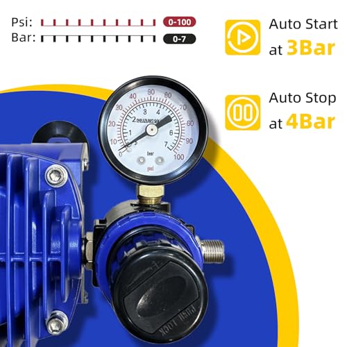 1/5HP Airbrush Kit with Compressor, Dual Air Brush Set with Paints | 12 Acrylic Paint Colors, 6 Siphon Bottles, Cleaning Tools and Mixing Wheel for Art, Craft, Model, Auto and T-Shirt Painting