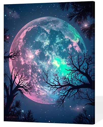 ACANDYL Moon Paint by Numbers Kit for Adults Beginner Paint by Numbers for Adults Canvas Painting by Number DIY Acrylic Oil Painting on Canvas Arts Craft Decoration 16x20 Inch - color: Moon
