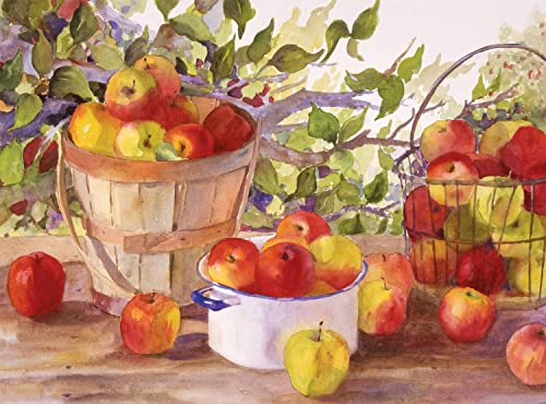 Ledgebay Paint by Numbers Kit for Adults, 16x20 Unframed Canvas - color: Apple Harvest, size: 16" x 20" Unframed