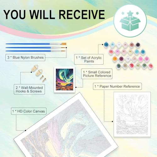 Paint by Numbers Kit for Adults, Aurora DIY Painting Kit, 16x20 Inch - color: CYOP1P12