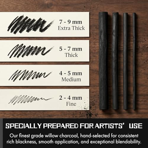 100 Pcs Willow Charcoal Sticks, Black Willow Charcoal for Artists Beginners Students, Drawing Charcoal for Sketching and Shading, Art Supplies(2-4mm, 4-5mm, 5-7mm,7-9mm)