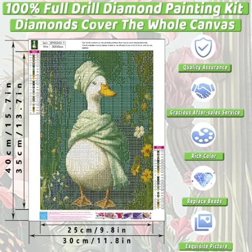 2 Pack Diamond Art Kits for Adults DIY Diamond Painting Kits for Adults - color: DP05343