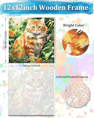 TOCARE Framed Paint by Numbers Kit for Adults Beginners,12x12inch Orange Cat Paint by Number with Frame,Easy Cat Paint by Numbers Framed Canvas (Without Easel) - color: TC-F-221