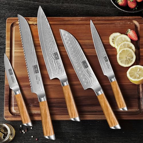 HOSHANHO Damascus Kitchen Knife Set 5PCS, Sharp Chef Knives Ergonomic Grip | Professional Cooking Knife Set | Japanese Super Steel | 15° Edge | 62 HRC | Ergonomic Olive Wood Handle | Housewarming Gift - style: 5 Pieces Knife Set
