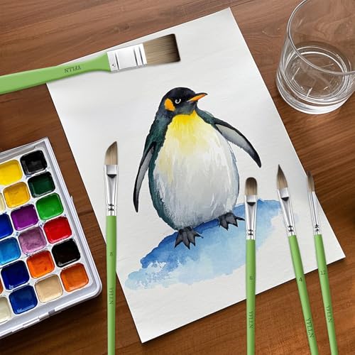 Paint Brushes Set of 25 Pieces Wooden Handles Brushes，Professional Artist Series with Filbert, Fan, Dagger, Cat Tongue, Round, Angle, Wide Flat Canvas Roll Bag & Palette Knife