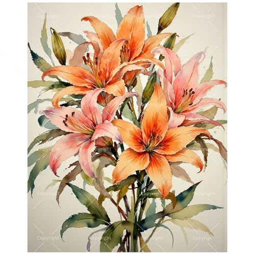 Floral Art Paint by Numbers Kit for Adults - DIY Watercolor Orange Lily Bouquet Painting on Canvas, Acrylic Paint Set, Suitable for Beginners, Art for Home Decoration or Gifts(16X20IN Framed) - color: HSX01174, size: 16X20IN Framed