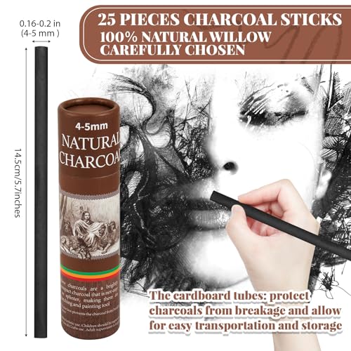 Gueevin 25 Pcs Soft Willow Charcoal Sticks Drawing,4-5mm | For Artists Beginners Students, Vine Charcoal Bulk for Sketching Shading Fine Art, Assorted Sizes, Back to School Gifts - size: 4-5mm