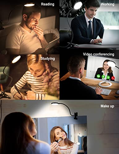 LiFMIRA Clip on Lamp, 8W 66 LED Bed Light for Reading, 5 Color Modes, 10 Brightness Levels, Eye Care, Flexible Gooseneck, Metal Clamp, USB Powered, Modern Design, Black | 5 Color Modes, 10 Brightness Levels, Eye Care Clip on Light, Flexible Gooseneck, Met