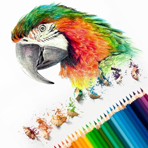 PATIKIL Watercolor Pencil, 12Pcs Water Soluble Pencils for Blending, Coloring, Sketch Drawing, Painting, Bright Blue - color: Bright Blue