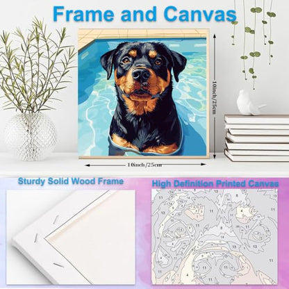 Artunion Framed Paint by Numbers Kit for Adults Beginners & Kids Ages 8-12,Rotweiler Dog Paint by Number with Frame,Dog Animal Paint by Numbers Kit on Canvas 10 * 10 Inch Without Easel - color: ZXT-374-F