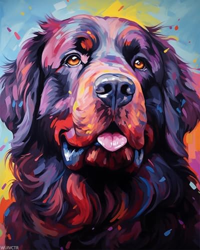 WUIVCTR Paint by Numbers for Adults, Animal Dog, Newfoundland Dog, Paint by Numbers on Canvas, DIY Paintwork Drawing Art for Beginner Gift, 40x50cm, Without Frame