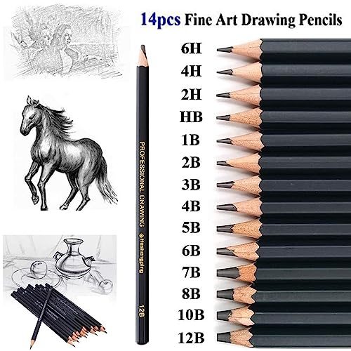 Heshengping 26 Pack Sketching Set Drawing Pencils Kit Art Supplies Include Graphite Charcoal Professional Pencils Set Cute Portable case for Artists Adults Beginners Artist - style: Multicolor | 26 Pack