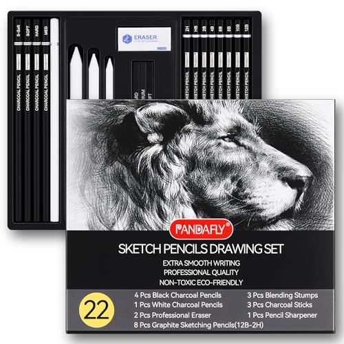 PANDAFLY Drawing Sketching Pencil Set, 22 Piece, Graphite Pencils (12B-2H)