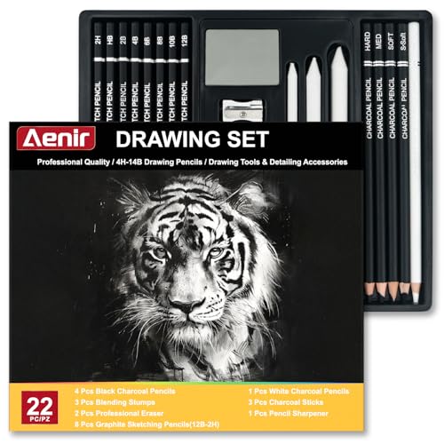 Aenir Charcoal Pencils for Drawing, 22-Piece Sketch Pencils for Drawing Set | Drawing Pencils for Sketching, Shading, Charcoal Art Supplies for Kids, Teens, Adults, Art Students, Beginners & Pro Artists.