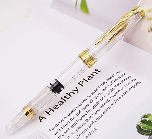 Lanxivi Yongsheng 3011 Demonstrator Clear Classical Fountain Pen Fine Nib Arrow Clip, Piston Filling System, Gold Trim, Set of 4 Pieces in transparent Color - color: 3011, F