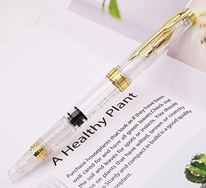 Lanxivi Yongsheng 3011 Demonstrator Clear Classical Fountain Pen Fine Nib Arrow Clip, Piston Filling System, Gold Trim, Set of 4 Pieces in transparent Color - color: 3011, F