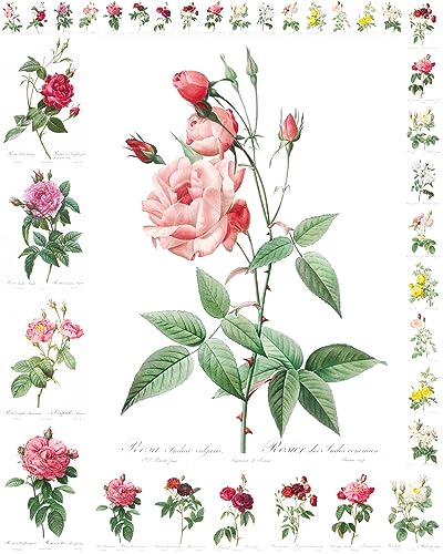 Decoupage Paper Pack (12 Sheets A4 / 8"x11") Roses Redoute Flowers FLONZ Vintage Ephemera - color: Eight